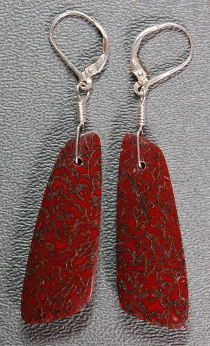 Brilliant, Red, Trapezoidal Dinosaur Gembone Earrings #22527